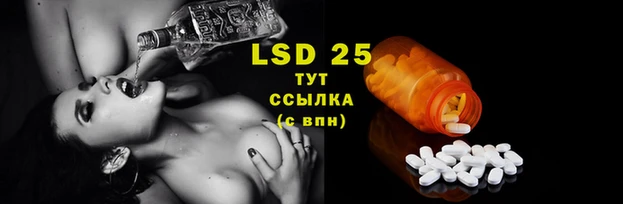спиды Няндома