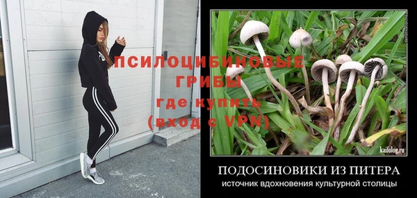 МДПВ Нягань