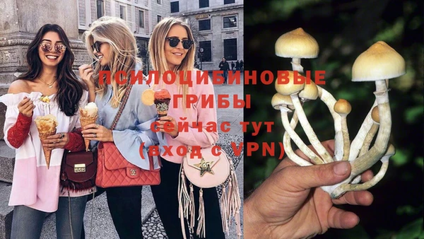 спиды Няндома