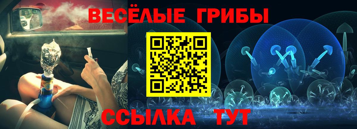 Галлюциногенные грибы мухоморы Обнинск